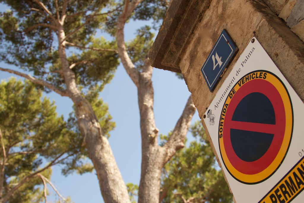 Villa Els Pins Palma di Maiorca Esterno foto